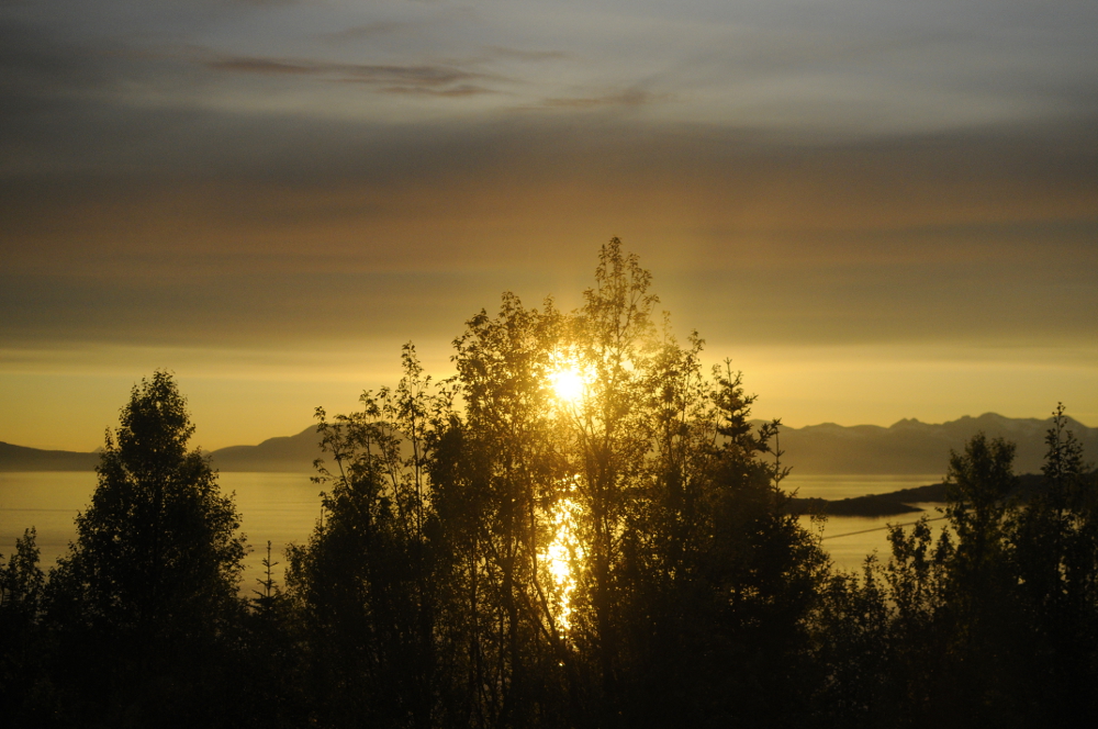 Midnight Sun, Swedish Lapland and Arctic Circle